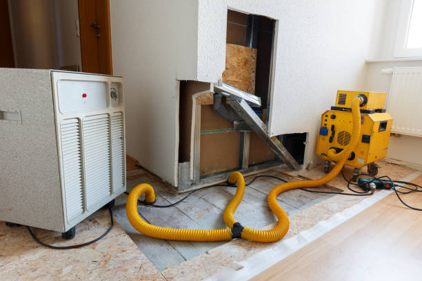 Best Mold Remediation for Healthcare Facilities  in Jal, NM