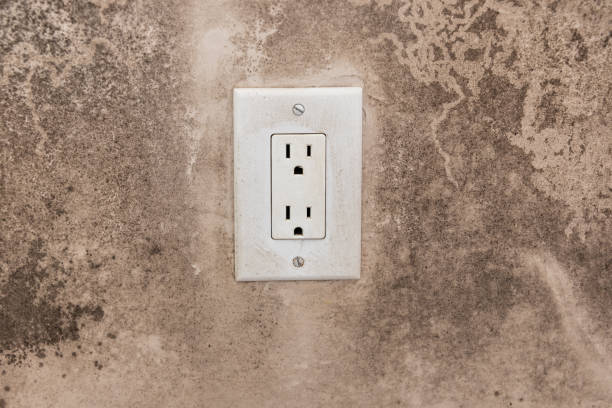 Jal, NM Mold Removal Company